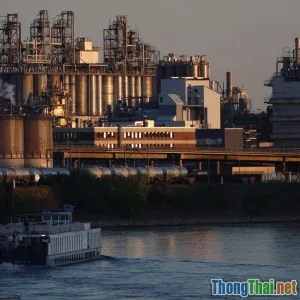 Tầm Quan Trọng Của Design Pattern Trong Xu Hướng AI