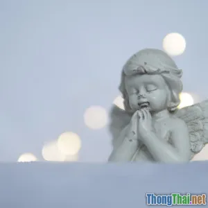 Vì sao biết ơn mỗi ngày lại giúp bạn sống hạnh phúc hơn