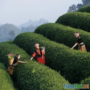 Hạ Long mùa thu trải nghiệm không chỉ là biển