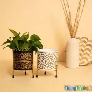 Chọn chậu cây phù hợp với từng không gian nhà bạn