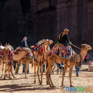 Xu hướng sử dụng công nghệ bảo vệ đặc sản vùng miền