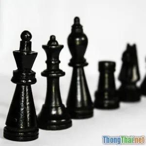 Làm sao đa hình giúp code ngắn hơn 30 phần trăm