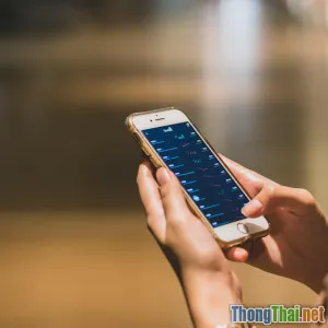 Chia sẻ kinh nghiệm pre order sản phẩm từ A tới Z