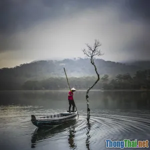 Du lịch cặp đôi ở Đà Lạt cực lãng mạn dịp mưa