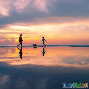 Triển khai mô hình SaaS thành công tại Việt Nam