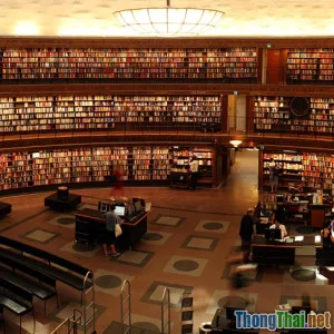 Skimming Scanning Thực Sự Hiệu Quả Không