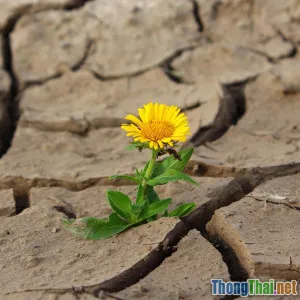 5 câu chuyện thất bại vươn lên truyền cảm hứng mạnh mẽ