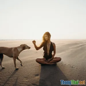 Bí quyết hấp dẫn tiền bạc nhờ năng lượng tích cực