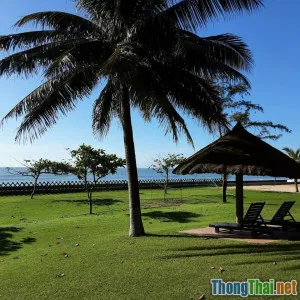Review chi tiết khu nghỉ dưỡng Green Lotus tại Phan Thiết