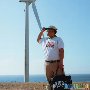 Bạn có nên check in Cần Giờ ngay hè này