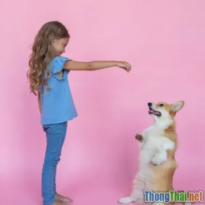 Làm sao để trẻ tự tin huấn luyện thú cưng