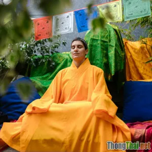 Review trải nghiệm một tuần thiền động thực tế