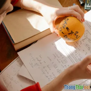 Thử tự học viết luận tiếng Anh theo công thức nào hiệu quả