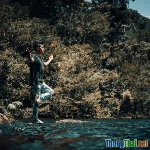 Liệu pháp rừng Nhật Bản với người làm việc văn phòng