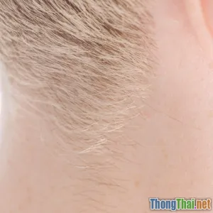 7 thực phẩm giúp tóc dài nhanh chóng chỉ sau 1 tháng thử nghiệm