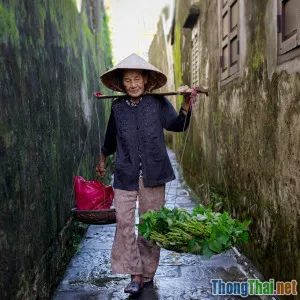 Một ngày sống như dân địa phương ở Hội An