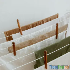 Top 5 phần mềm lập kế hoạch sắp xếp nhà cửa tốt nhất