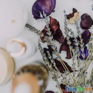 Thiền định chữa lành tâm trí hay chỉ là trào lưu