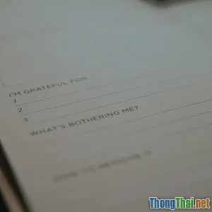 Định kiến sai lầm về sự cân bằng trong cuộc sống