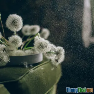 Tự chế lọ xịt phòng từ nguyên liệu thiên nhiên