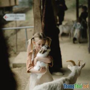 So sánh chi phí nuôi thú cưng nhỏ và truyền thống