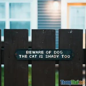 Có nên cho thú cưng tiếp xúc tự nhiên ngoài vườn