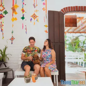 Danh sách loại cây an toàn khi vừa chăm thú cưng vừa làm đẹp nhà