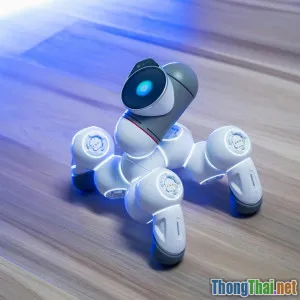 Tự làm đồ chơi thông minh giúp thú cưng ít phá phách