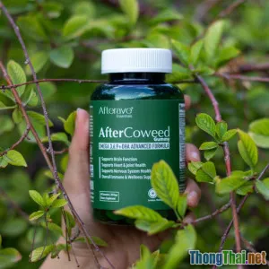 Top 7 thực phẩm vàng hỗ trợ miễn dịch cho cả gia đình