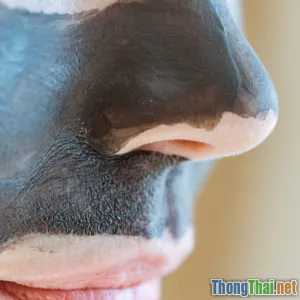 5 công thức mặt nạ tự nhiên cho làn da sáng mịn tại nhà