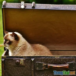 5 dấu hiệu bạn đang hiểu sai về đệ quy và cách khắc phục