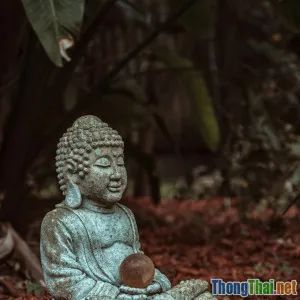 5 lời khuyên từ sư thầy giúp bạn đương đầu với cú sốc mất mát