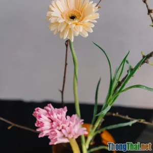 5 thời điểm vàng trong ngày để rèn luyện thói quen thành công