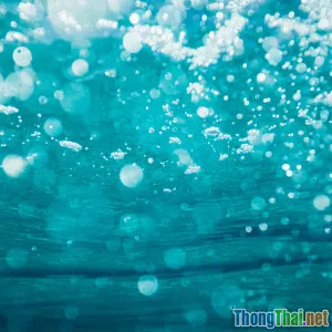 7 loại nước detox da sáng đang được giới trẻ Tiktok rần rần thử