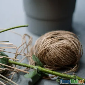 Bạn có nên đặt cây cảnh trong bếp Ai nói không tốt đã nhầm