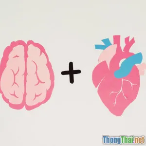 Bạn Đạt Được Gì Khi Xem Phim Giải Trí