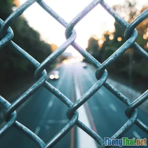 Bạn sẽ chọn xe tự lái hay lái truyền thống An toàn đặt lên hàng đầu