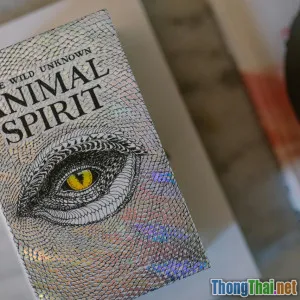 Bật mí cách các nhà tâm linh giải quyết khủng hoảng tuổi trung niên