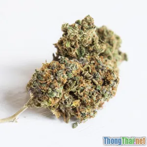 Bệnh tim mạch và những điều bạn thường bỏ qua