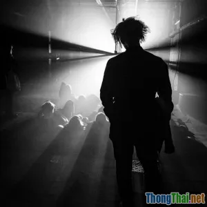 Bí ẩn hành trình tìm kho báu: Những phim khám phá không thể bỏ lỡ 2024