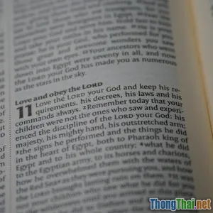 Bí kíp đón nhận thay đổi: Chiêu thức của các nhà hiền triết