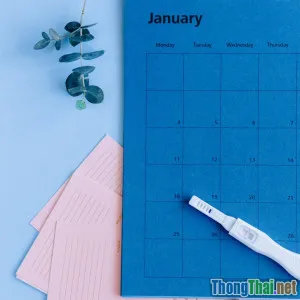 Bí quyết giúp các gia đình duy trì lịch khám sức khỏe định kỳ đều đặn