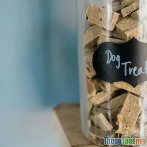 Bổ sung vitamin cho thú cưng như thế nào?