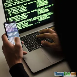 Hacker mũ trắng và mũ đen khác nhau điểm nào
