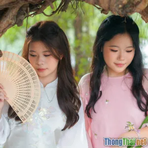 Các bộ phim giải trí gây nghiện nhất Netflix Việt Nam năm qua