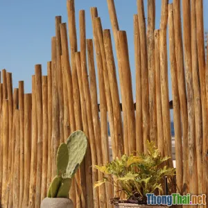 Cách bảo vệ môi trường trong du lịch