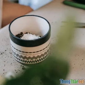 Cách chọn đất và tự tay cải tạo chậu cây đơn giản tại nhà