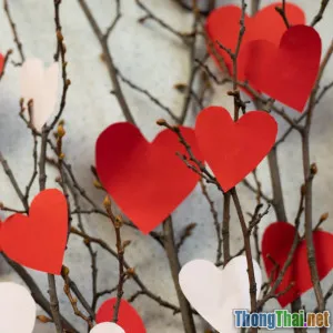 Cách chọn giấy màu phù hợp thiệp mừng từng dịp lễ