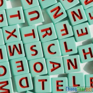 Cách học tiếng Anh hiệu quả cho người mới bắt đầu