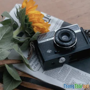 Cách làm hoa hướng dương từ giấy báo đơn giản